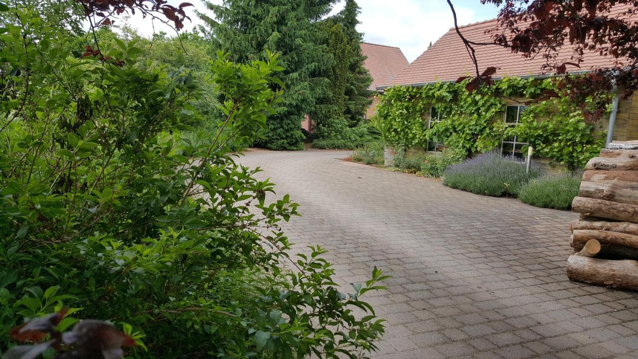 Hofgestuet Bleesern Fewo2 Seegrehna