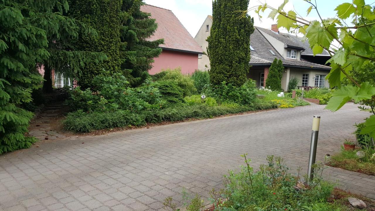 Hofgestuet Bleesern Fewo2 Apartment Seegrehna